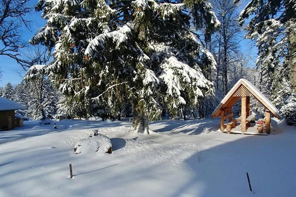 Le Petit Loup, Appartement Neuf Avec Jardin Gerbepal Екстер'єр фото